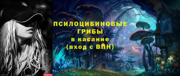 мдпв Вяземский
