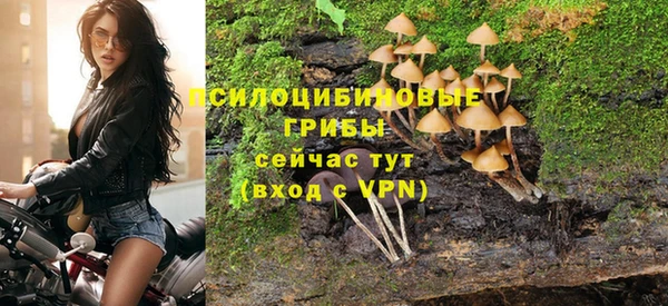 ALPHA PVP Вязники