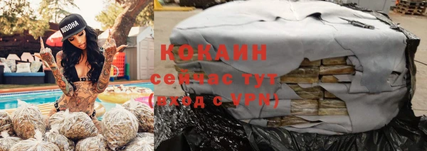 мдпв Вяземский